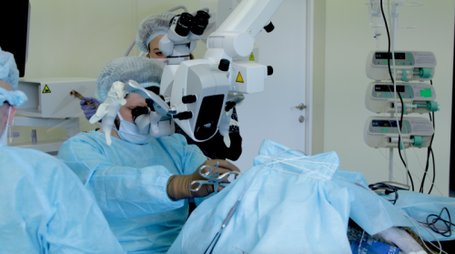 Резидент "Сколково" первым в РФ установил зрительный нейроимплант обезьяне.